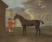 Francis Sartorius The Racehorse 'Horizon' Held by a Groom by a Building oil on canvas
